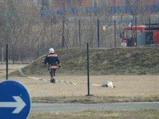 Begyakorló gyakorlat a raklapüzemben