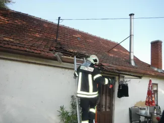 Darázsirtás