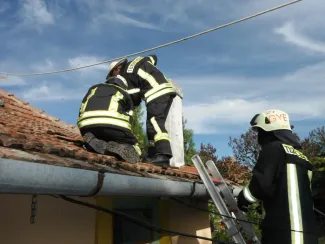 Vaddarazsak lakóépületbe költöztek