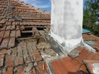 Vaddarazsak lakóépületbe költöztek