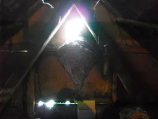Hatalmas darázsfészek
