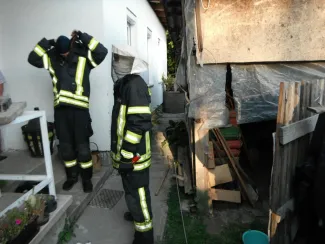 Hatalmas darázsfészek