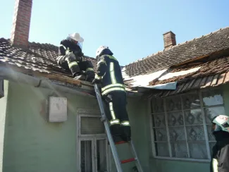 Még mindig a darazsak...