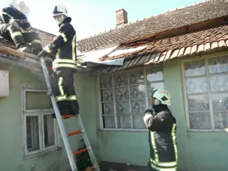 Még mindig a darazsak...