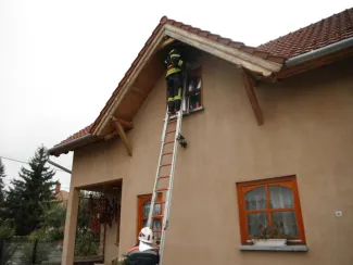Vaddarázs minden mennyiségben...