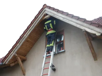 Vaddarázs minden mennyiségben...