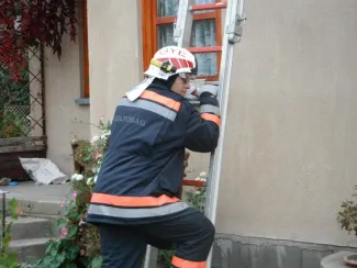 Vaddarázs minden mennyiségben...