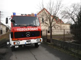 Fa ágai meghasadtak