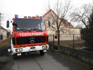 Fa ágai meghasadtak