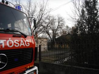 Fa ágai meghasadtak