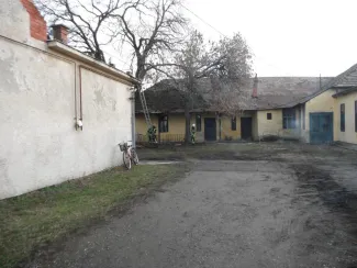 Fa ágai meghasadtak