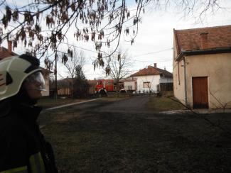 Fa ágai meghasadtak