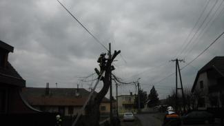 Fűzfa ágai telefonvezetékre szakadtak