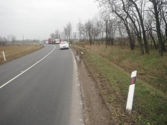 Személygépjármű fának ütközött
