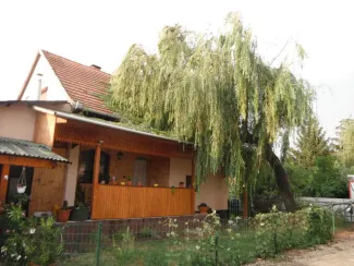 Nagyméretű fa épületre dölt