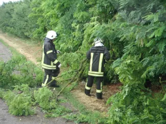 Hunya : Fa útra dőlt, forgalmi akadályt képez