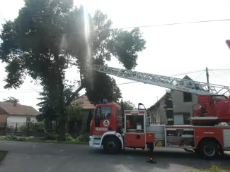Gyomaendrődön a Gárdonyi Géza utcán fa villanyvezetékre dölt