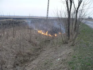 A szarvasi úton 7-8 km között avar égett.