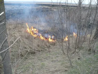 A szarvasi úton 7-8 km között avar égett.