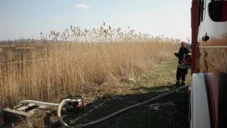 A szarvasi út mellett nádas égett