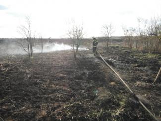 Tanya körül égett a fű