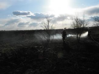 Tanya körül égett a fű