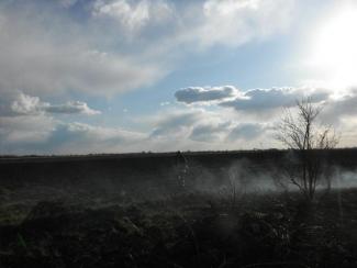 Tanya körül égett a fű