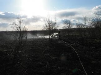 Tanya körül égett a fű