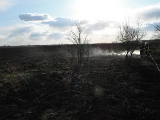 Tanya körül égett a fű