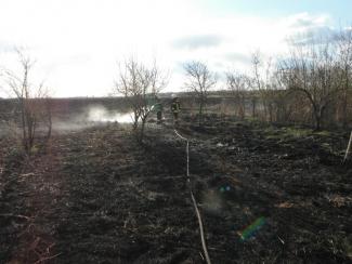 Tanya körül égett a fű