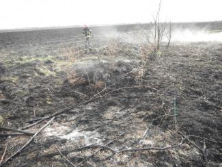 Tanya körül égett a fű