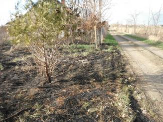 Tanya körül égett a fű