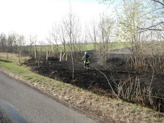 Körösladányi út mellett aljnövényzet égett