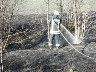 Körösladányi út mellett aljnövényzet égett