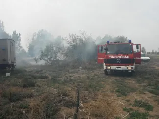 A Körösladányi út mellet gaz, avar égett
