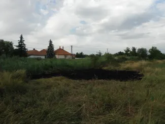 Száraz fű és nádas égett.