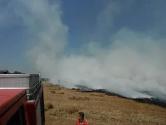 Rendre sodort szalma égett.
