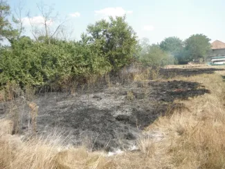 46-os Fő út 40 km. gaz avar éget