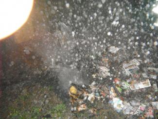 Gyomaendrődön a Vásártéri lakótelepen szelektív kuka égett.