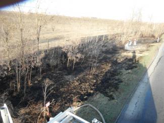 Út melett száraz fű avar éget