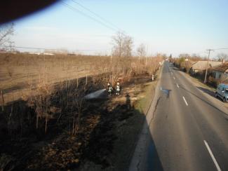 Út melett száraz fű avar éget