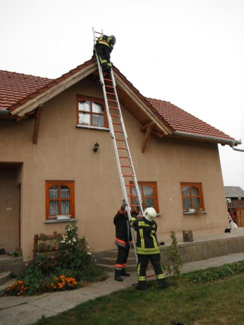 Vaddarázs minden mennyiségben...